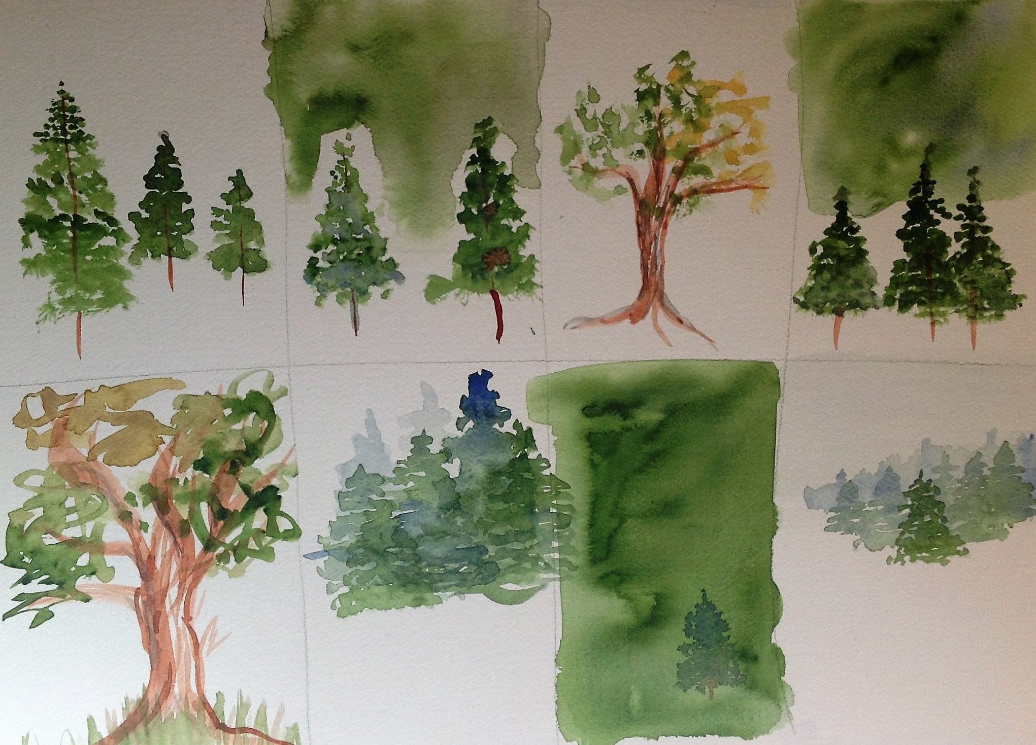 Exercise With Trees #2, 2003
Watercolor on Paper
15"W x 11"H, Walli White, artist