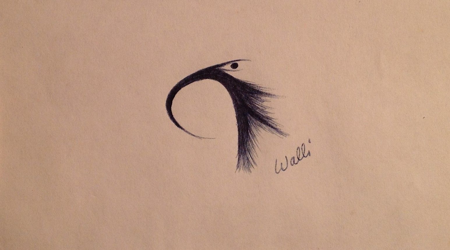 Curved Beak Bird,
Ball Point Pen on Paper
6"W x 4"H, Walli White, artist