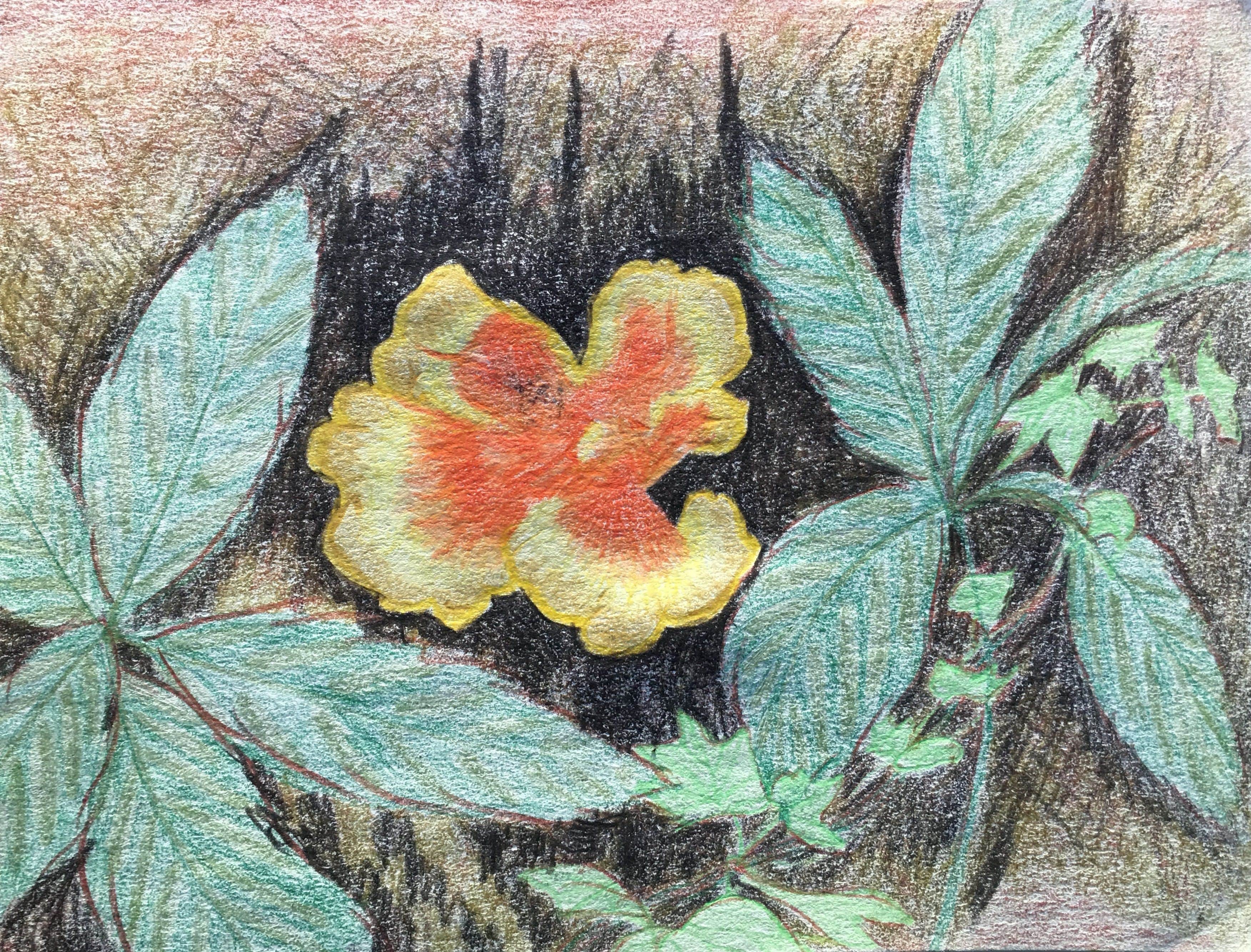 Orange Fungi, 2018
Colored Pencils on Paper
7.75"W x 6"H, Walli White, artist