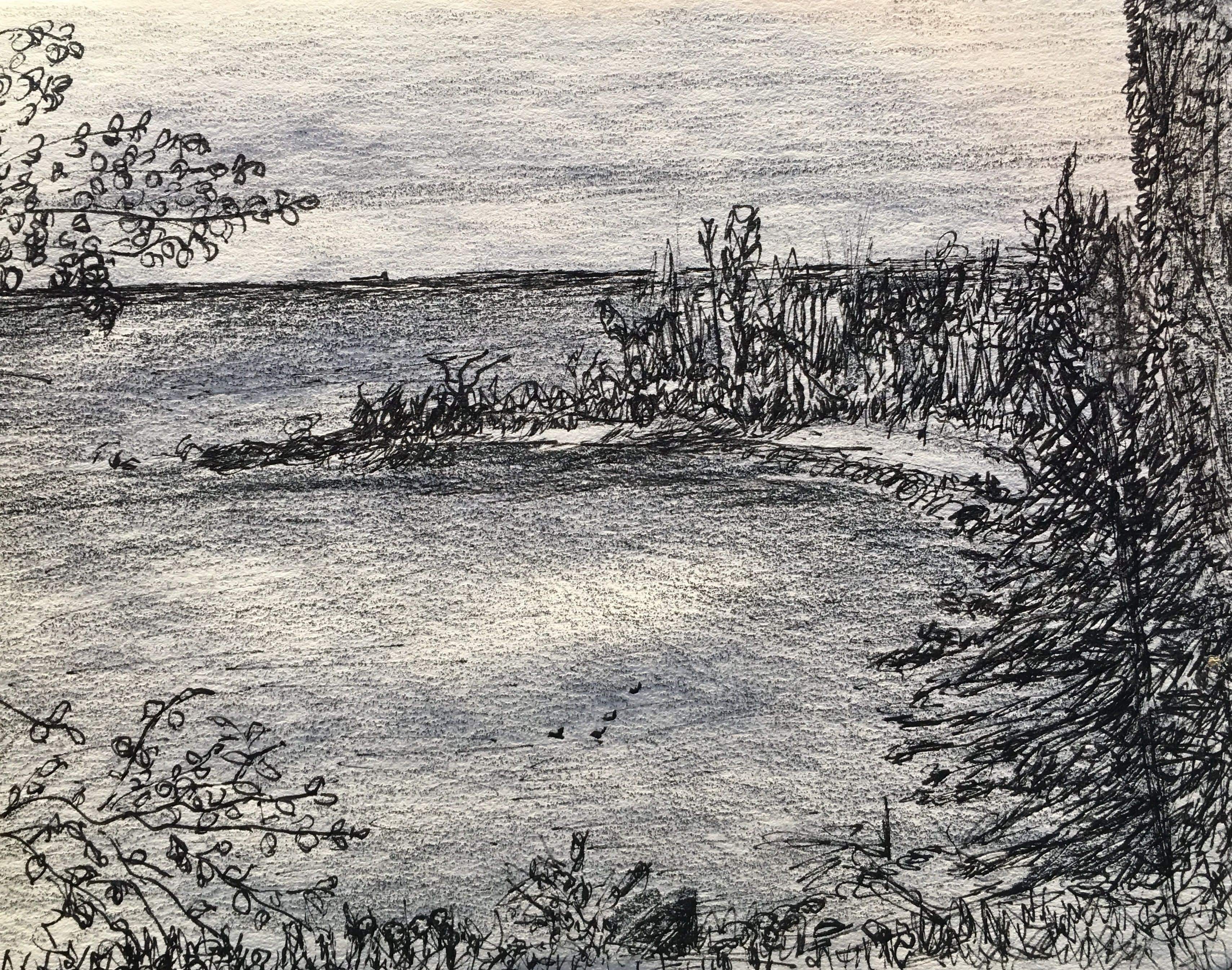 Overlooking Thompson Beach, 2016
Drawing Pen and Drawing Pencil on Paper
7.75"W x 6"H, Walli White, artist