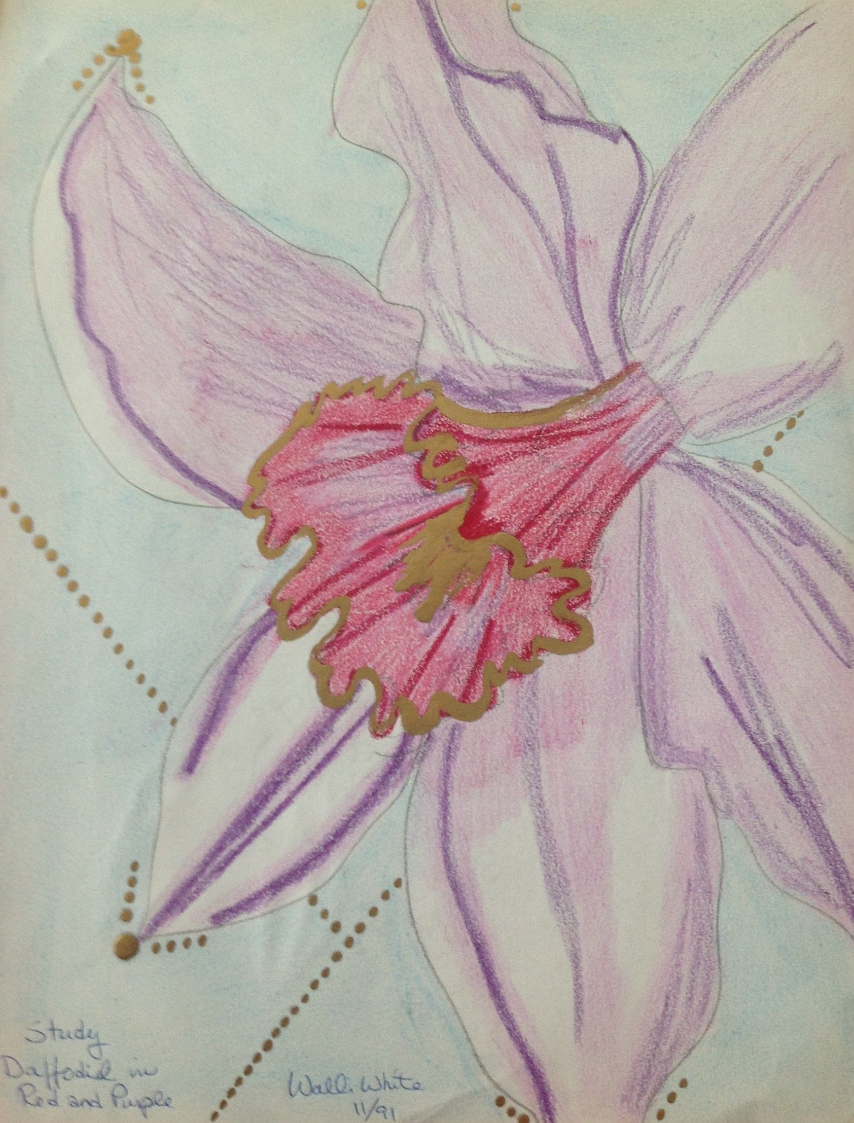 Daffodil in Red and Purple, 1991
Crayon and Gold Paint on Paper
8.5"W x 11"H, Walli White, artist