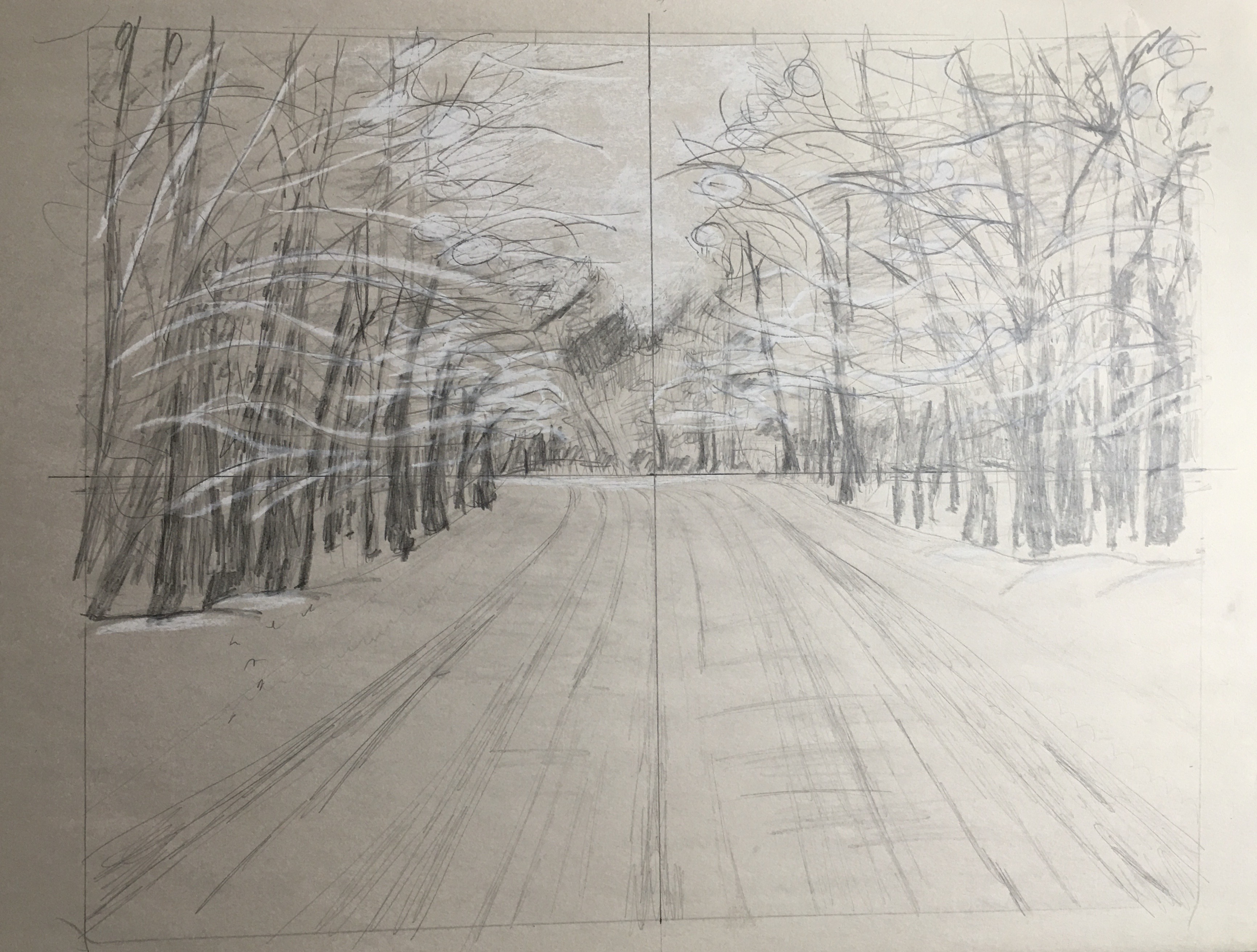Snow Tipped Study, 2021
Pencil and White Chalk on Newsprint, Walli White, artist