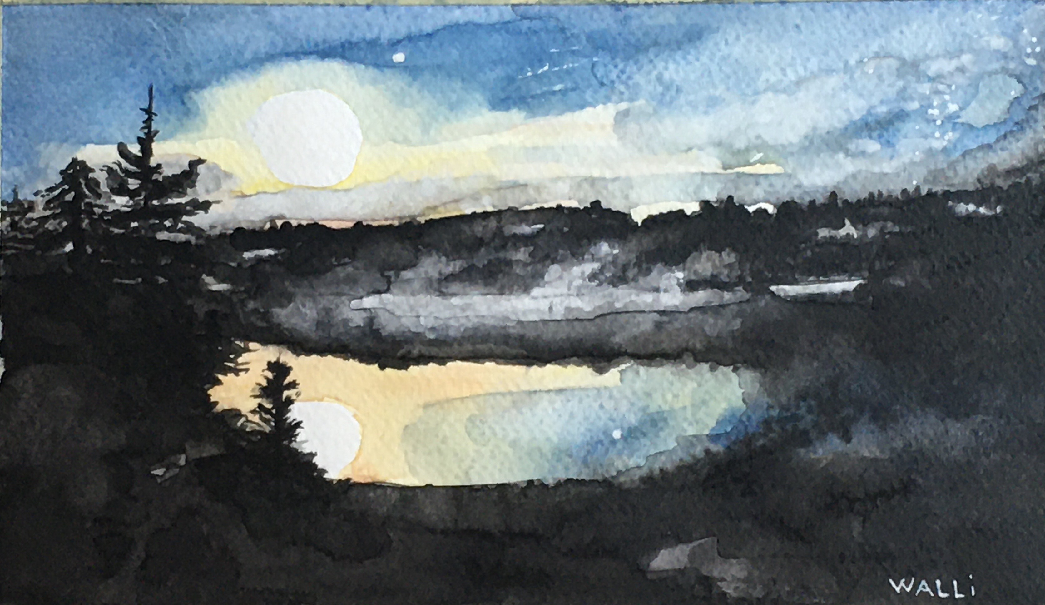 Moonlight in the BWCA, 2023
Watercolor on Paper
10"W x 6"H, Walli White, artist