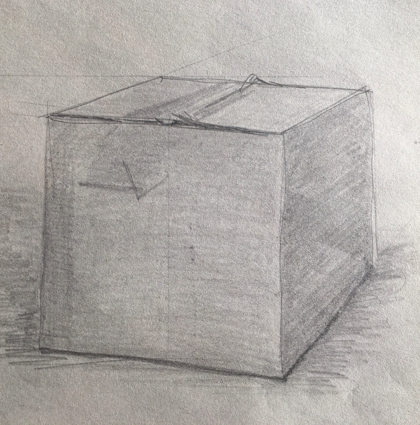 Box #2, 2018
Pencil on Paper
7"W x 6.5"H, Walli White, artist