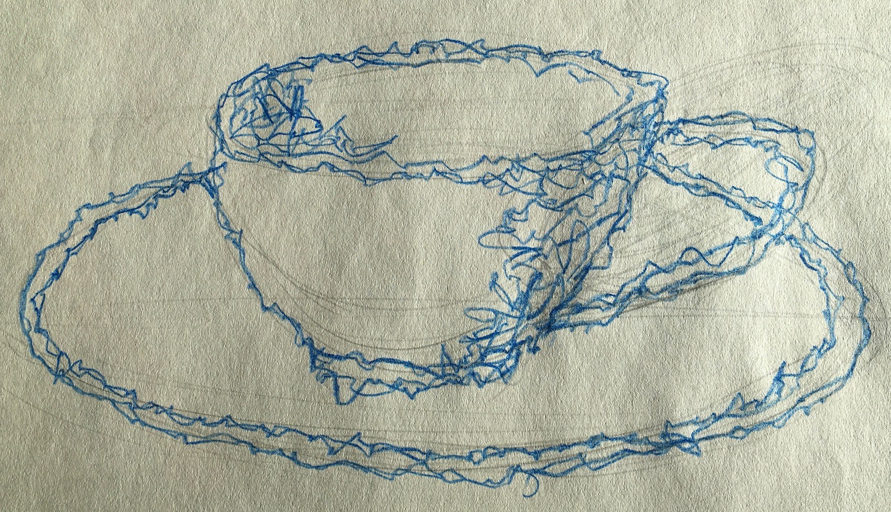 Teacup, 2018
Pencil and Blue Colored Pencil on Paper
9.5"W x 5"H, Walli White, artist
