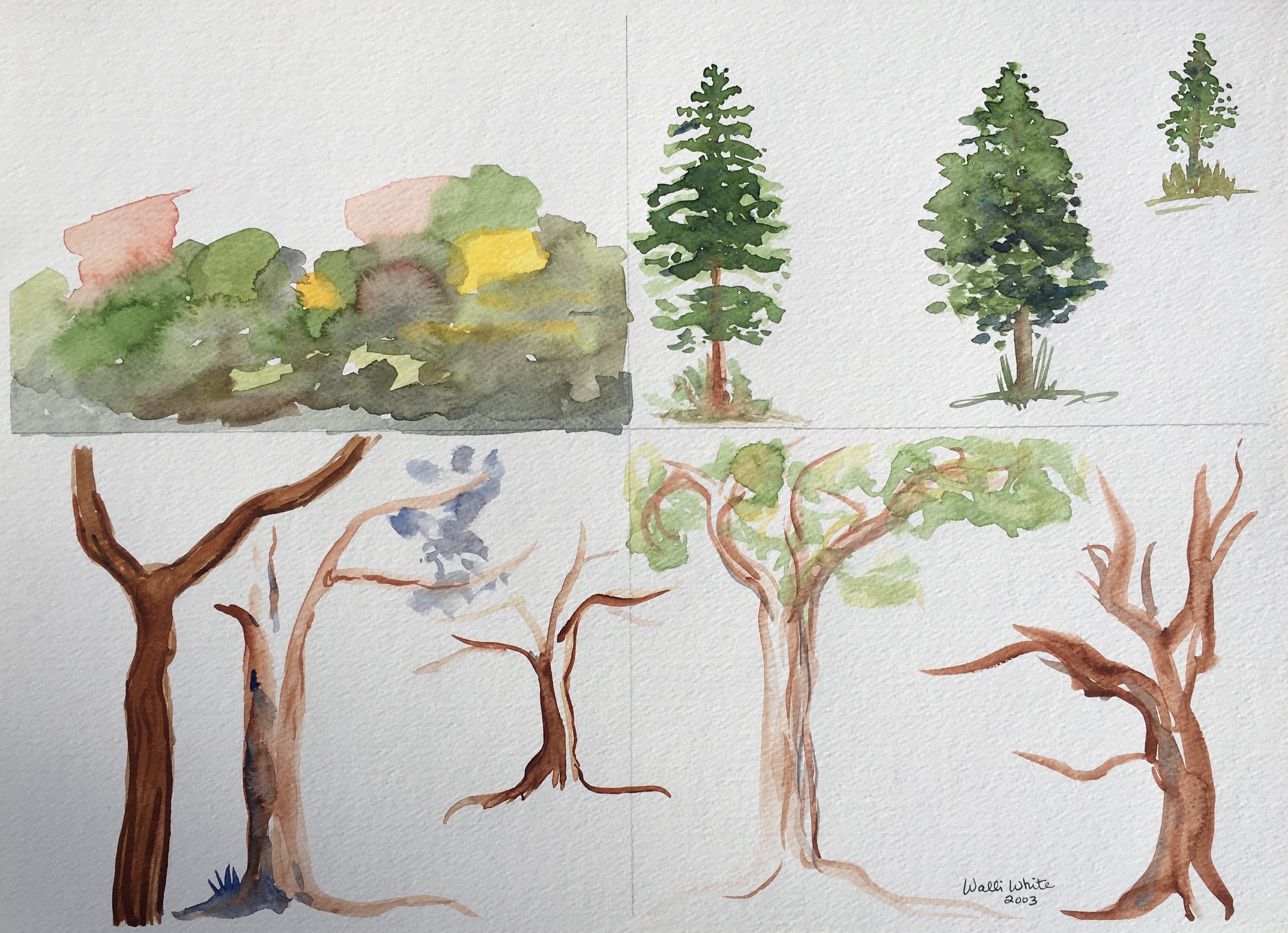 Exercise With Trees #1, 2003
Watercolor on Paper
15"W x 11"H, Walli White, artist