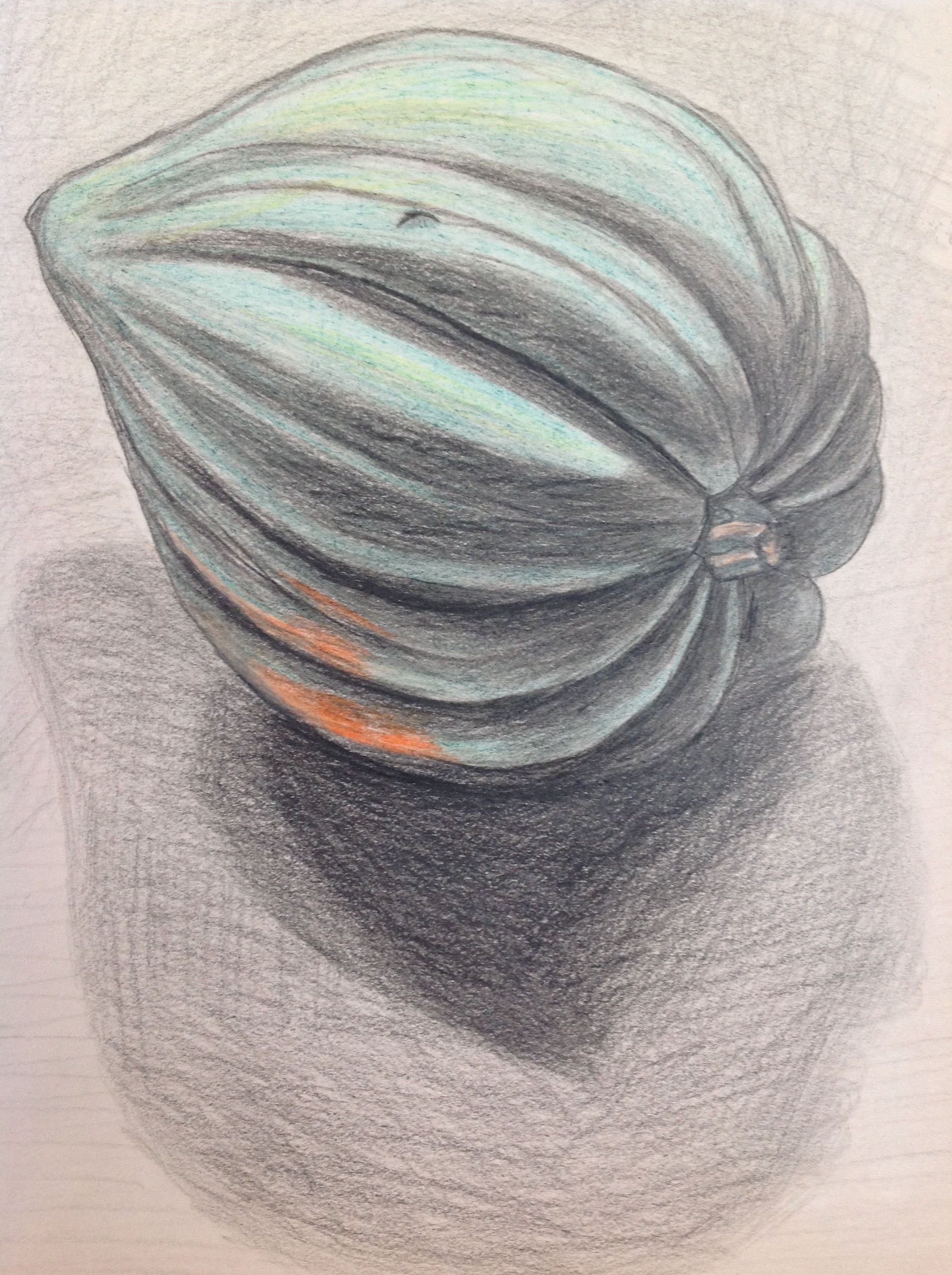 Acorn Squash, 2019
Colored Pencils on Paper
9"W x 11.5"H, Walli White, artist